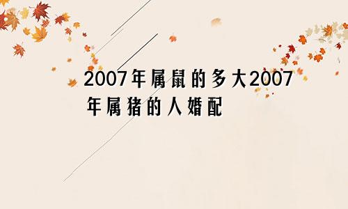 2007年属鼠的多大2007年属猪的人婚配