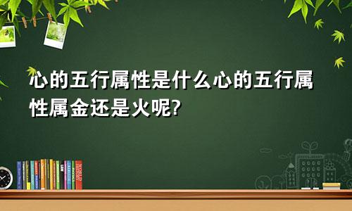 心的五行属性是什么心的五行属性属金还是火呢?