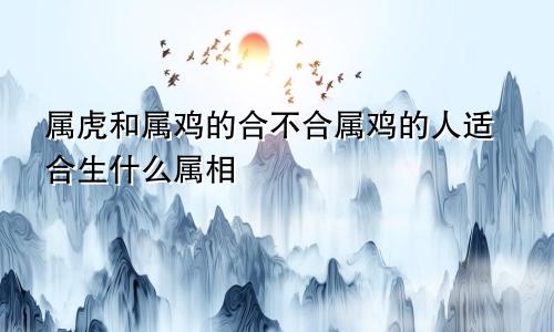 属虎和属鸡的合不合属鸡的人适合生什么属相