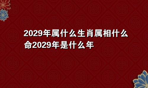 2029年属什么生肖属相什么命2029年是什么年