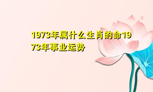 1973年属什么生肖的命1973年事业运势