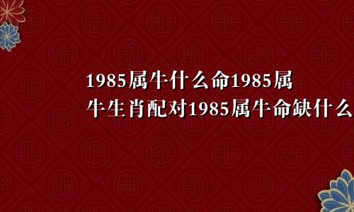 1985属牛什么命1985属牛生肖配对1985属牛命缺什么