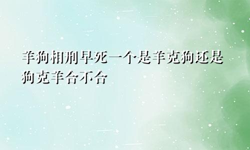 羊狗相刑早死一个是羊克狗还是狗克羊合不合