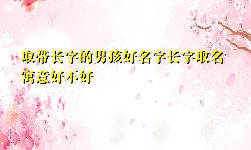 取带长字的男孩好名字长字取名寓意好不好