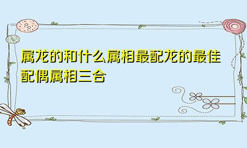 属龙的和什么属相最配龙的最佳配偶属相三合