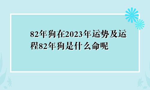 82年狗在2023年运势及运程82年狗是什么命呢