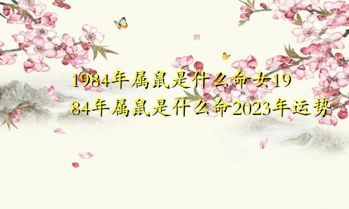 1984年属鼠是什么命女1984年属鼠是什么命2023年运势