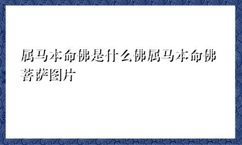 属马本命佛是什么佛属马本命佛菩萨图片