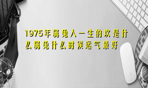 1975年属兔人一生的坎是什么属兔什么时候运气最好