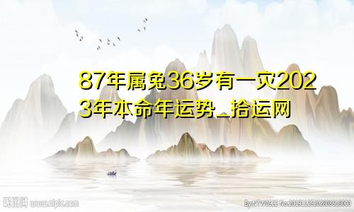 87年属兔36岁有一灾2023年本命年运势_拾运网