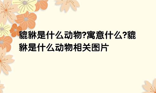 貔貅是什么动物?寓意什么?貔貅是什么动物相关图片