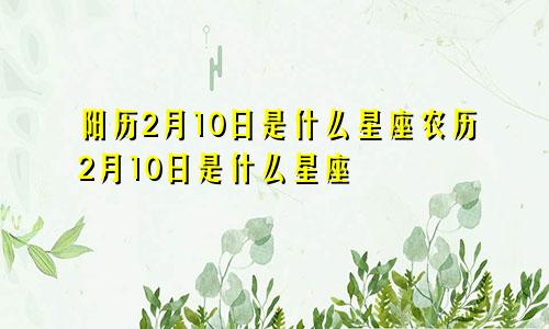 阳历2月10日是什么星座农历2月10日是什么星座