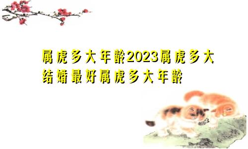 属虎多大年龄2023属虎多大结婚最好属虎多大年龄