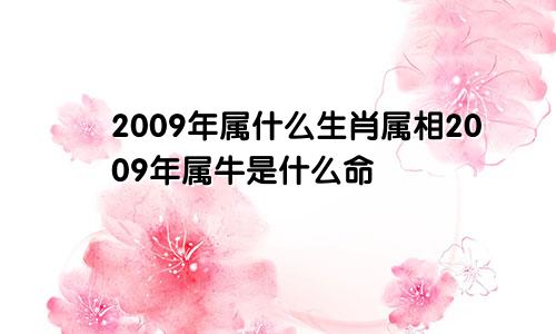 2009年属什么生肖属相2009年属牛是什么命