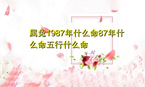 属兔1987年什么命87年什么命五行什么命