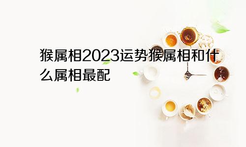 猴属相2023运势猴属相和什么属相最配