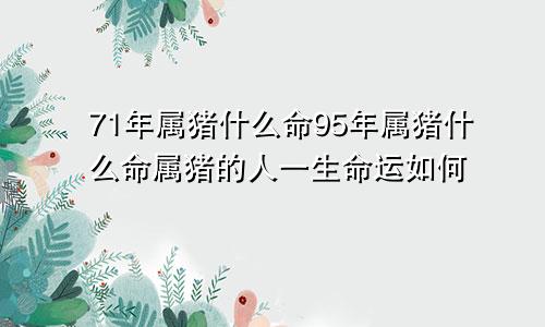 71年属猪什么命95年属猪什么命属猪的人一生命运如何