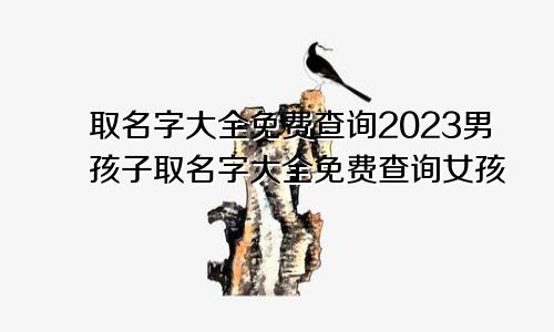 取名字大全免费查询2023男孩子取名字大全免费查询女孩