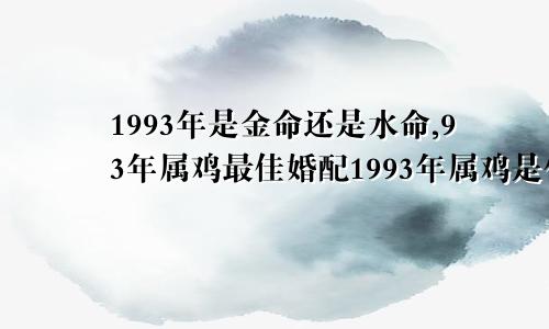 1993年是金命还是水命,93年属鸡最佳婚配1993年属鸡是什么命