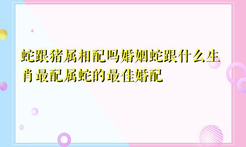 蛇跟猪属相配吗婚姻蛇跟什么生肖最配属蛇的最佳婚配