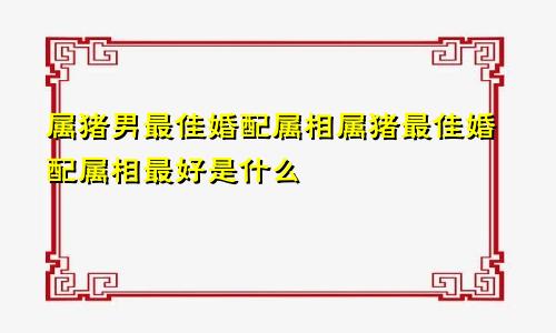 属猪男最佳婚配属相属猪最佳婚配属相最好是什么