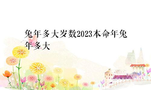 兔年多大岁数2023本命年兔年多大