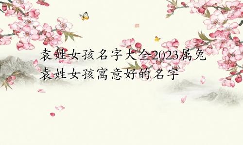 袁姓女孩名字大全2023属兔袁姓女孩寓意好的名字