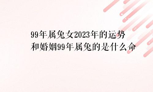 99年属兔女2023年的运势和婚姻99年属兔的是什么命