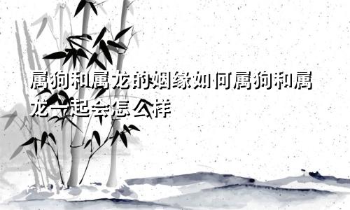 属狗和属龙的姻缘如何属狗和属龙一起会怎么样