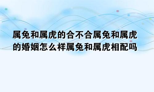 属兔和属虎的合不合属兔和属虎的婚姻怎么样属兔和属虎相配吗