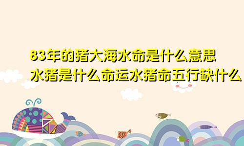 83年的猪大海水命是什么意思水猪是什么命运水猪命五行缺什么