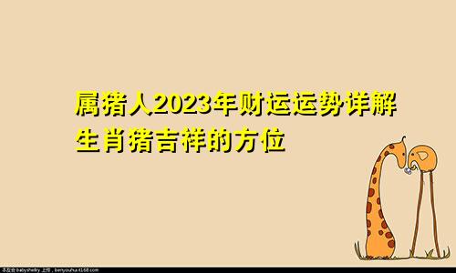 属猪人2023年财运运势详解生肖猪吉祥的方位