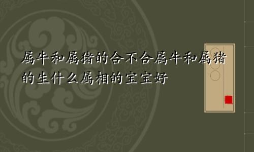 属牛和属猪的合不合属牛和属猪的生什么属相的宝宝好