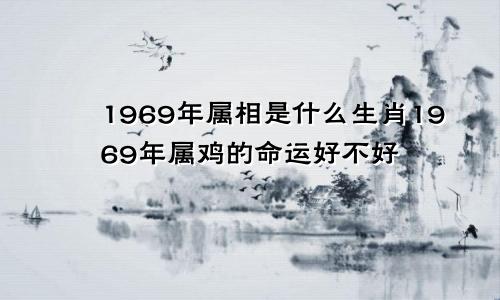 1969年属相是什么生肖1969年属鸡的命运好不好