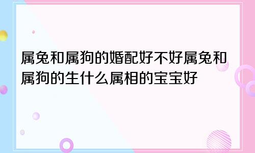 属兔和属狗的婚配好不好属兔和属狗的生什么属相的宝宝好