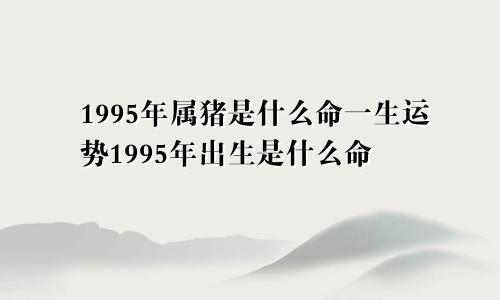 1995年属猪是什么命一生运势1995年出生是什么命