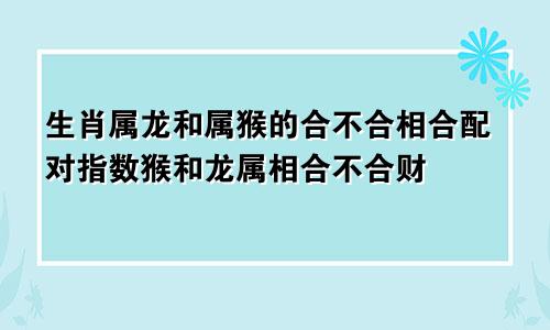 生肖属龙和属猴的合不合相合配对指数猴和龙属相合不合财