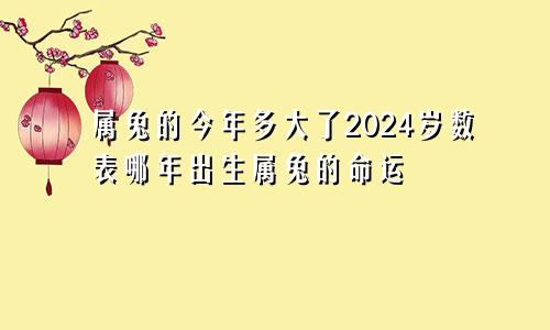 属兔的今年多大了2024岁数表哪年出生属兔的命运