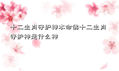 十二生肖守护神本命佛十二生肖守护神是什么神