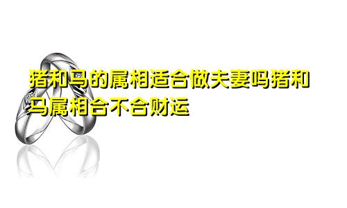 猪和马的属相适合做夫妻吗猪和马属相合不合财运