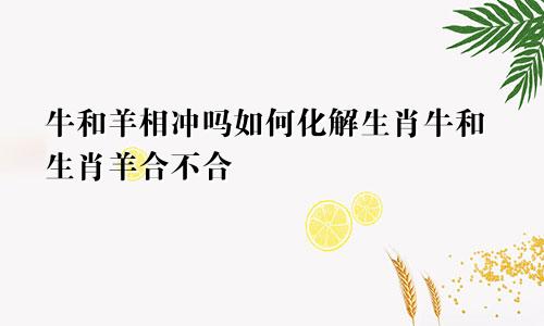 牛和羊相冲吗如何化解生肖牛和生肖羊合不合