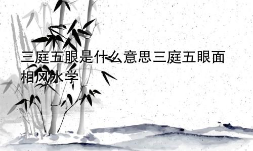 三庭五眼是什么意思三庭五眼面相风水学