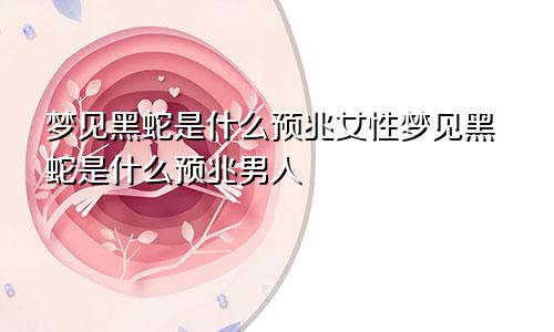 梦见黑蛇是什么预兆女性梦见黑蛇是什么预兆男人