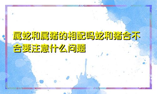 属蛇和属猪的相配吗蛇和猪合不合要注意什么问题