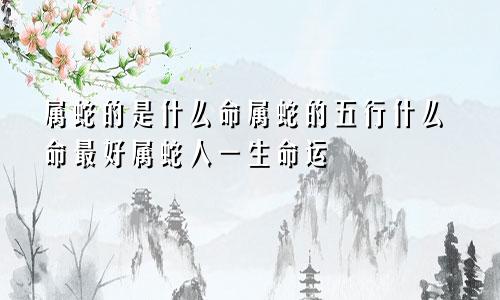 属蛇的是什么命属蛇的五行什么命最好属蛇人一生命运