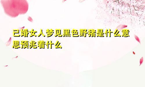 已婚女人梦见黑色野猪是什么意思预兆着什么