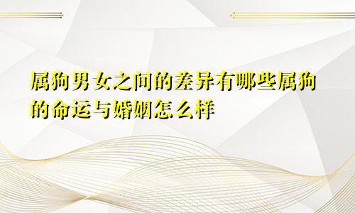 属狗男女之间的差异有哪些属狗的命运与婚姻怎么样