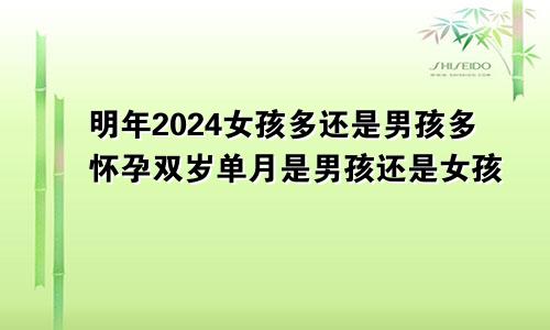 明年2024女孩多还是男孩多怀孕双岁单月是男孩还是女孩