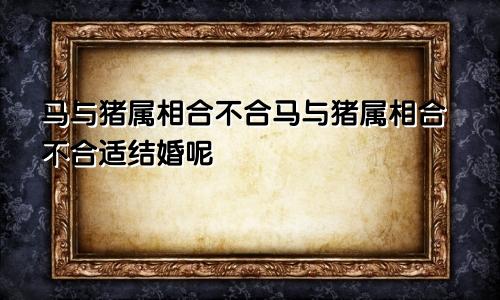 马与猪属相合不合马与猪属相合不合适结婚呢