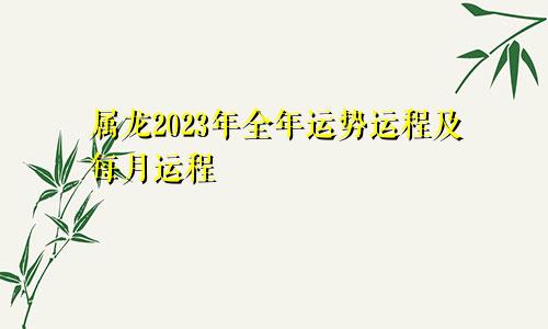 属龙2023年全年运势运程及每月运程